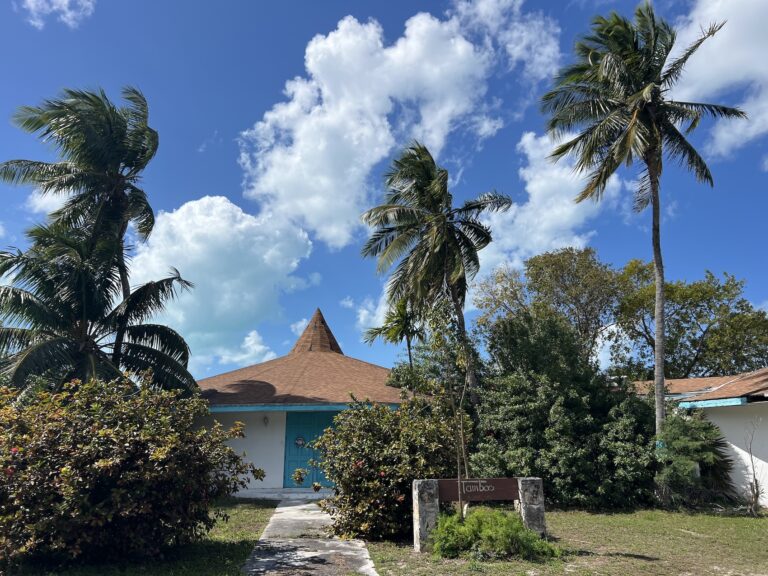 a brilliant blue sky with a few white clouds hangs over a tropical building with a pointed roof and blue-green from door. it's flanked by palm trees, and has a sign out front saying "Tamboo"