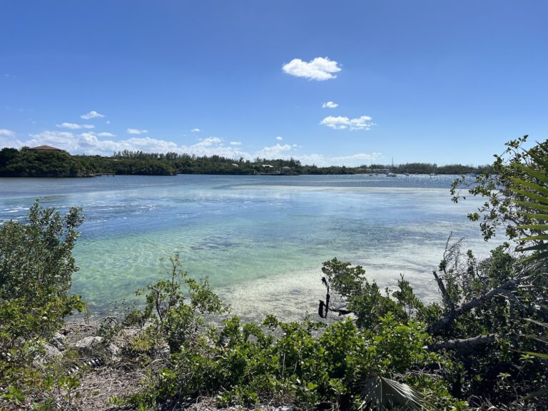 A clear blue sky is dotted with 2 white fluffy clouds as you look over some bushes below you across a teal and turquoise blue bay with boats anchored in the distance